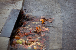 Storm drain partially blocked by fallen leaves on rainy day