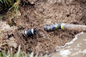 Common Septic Tank Problems in San Francisco, CA